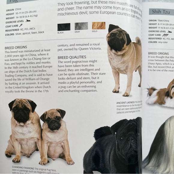 The Ultimate Guide to Dogs Hardcover - Picture 2 of 9